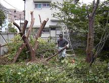 庭木伐採・草刈りを承ります。/ 横浜市青葉区